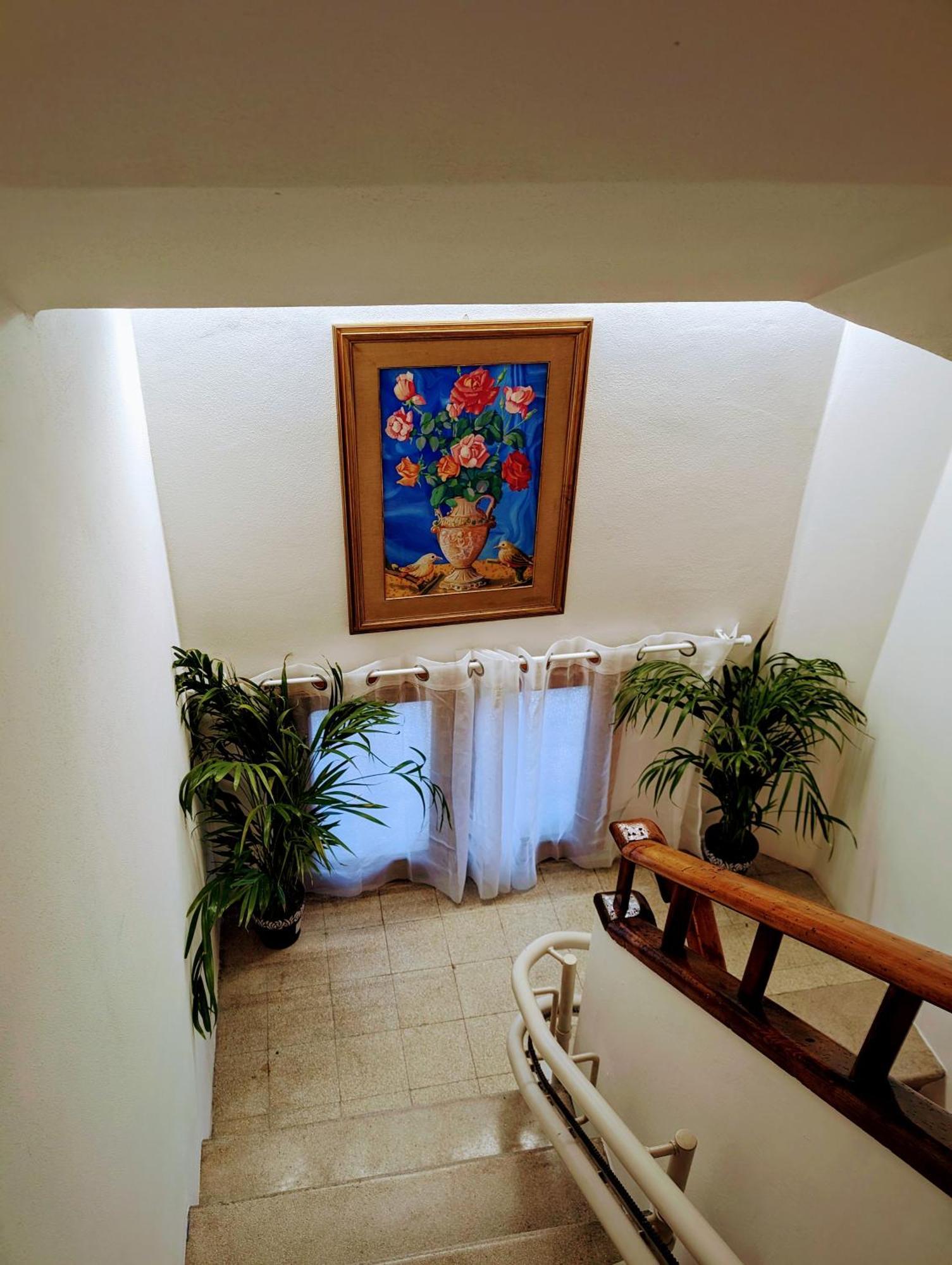 Guest House Il Glicine Stadio - Ospedale צ'זנה מראה חיצוני תמונה